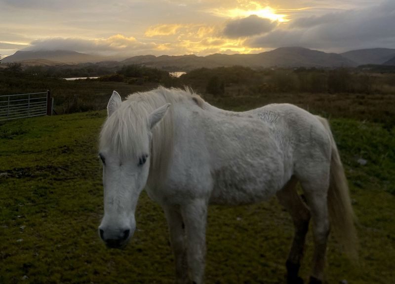 The Early Bird Show w/ Maria Somerville