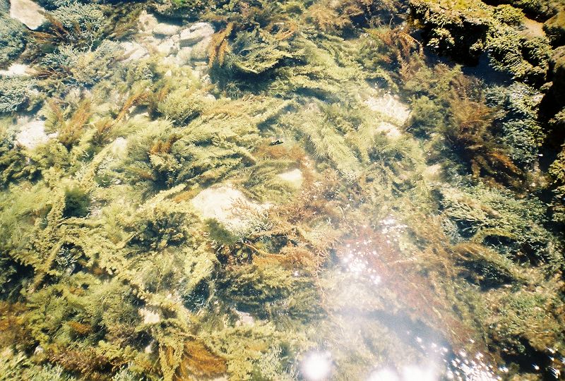 Manifesting Change w/ Junior Maurice