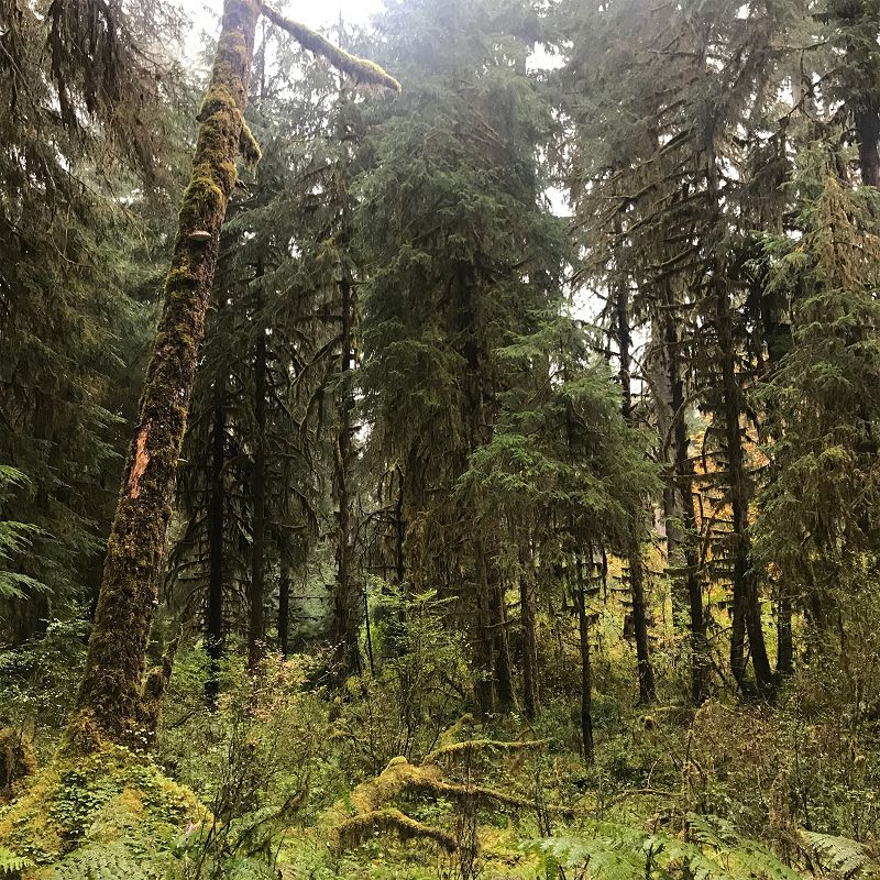 A Month of Sundays w/ Bill Spencer