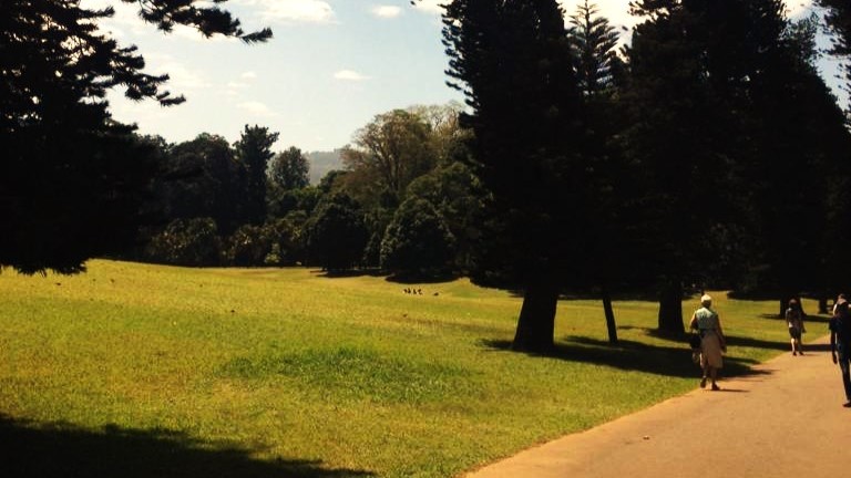 ETERNAL MIDDAY W/ PEPELATS