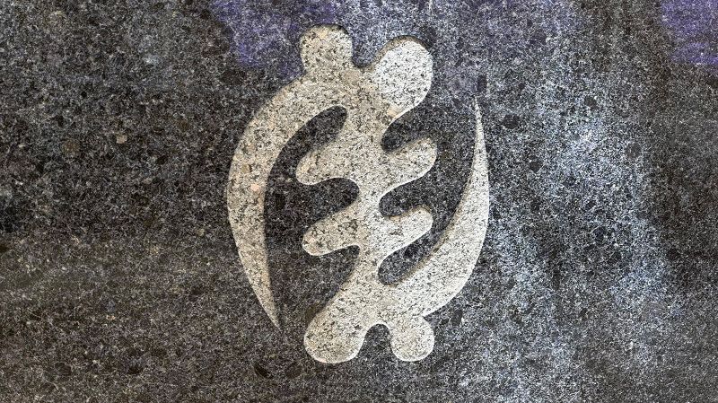 The Uline Catalog w/ Calvin LeCompte