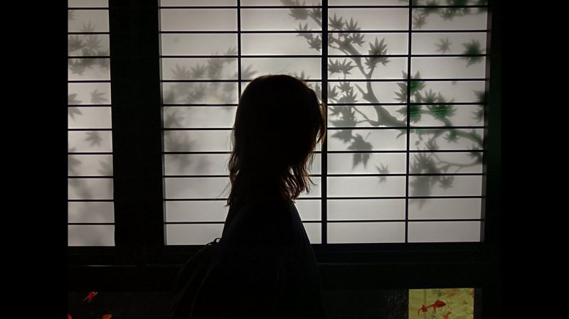 Beau Beaumont (LIVE), Jin Synth (LIVE)