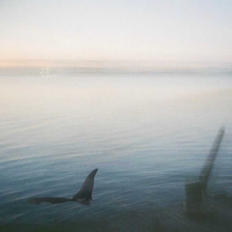 orca nightmare w/ kcal