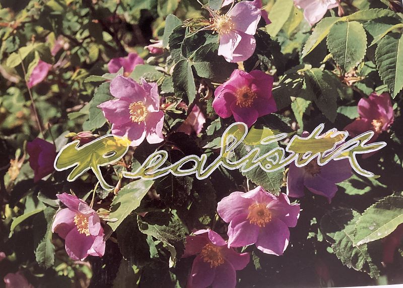 Realistik Radio w/ Cindy Lee