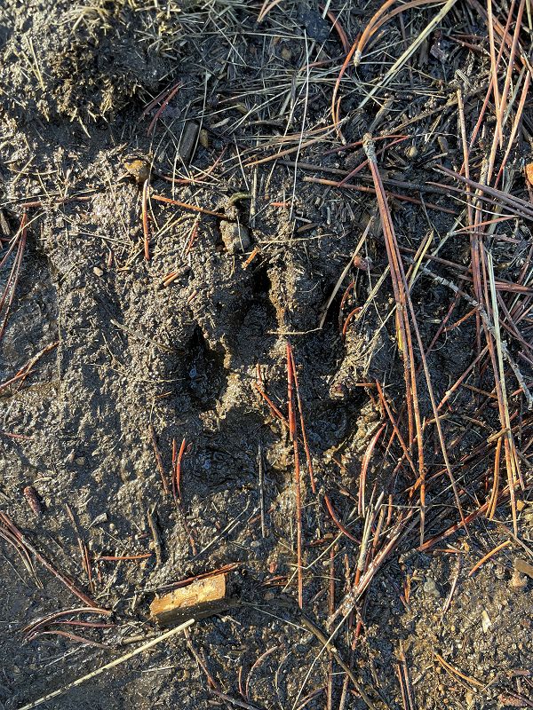 The Head Zone w/ Ripley Johnson