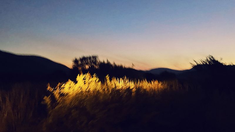 SOUND FIELDS W/ FADING OBJECTS