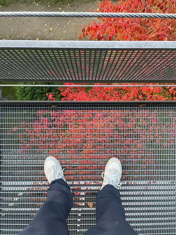 Lavender Kite Audio Research Hour w/ Raihan