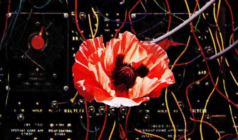 Machines of Loving Grace w/ Midwife