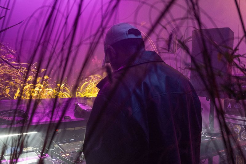 ZULI - Live At Balleremo