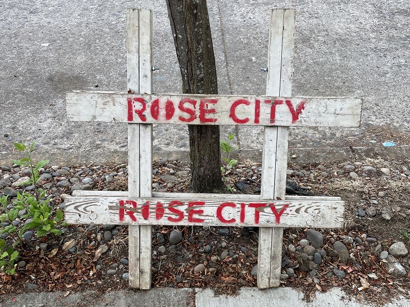 The Head Zone w/ Ripley Johnson