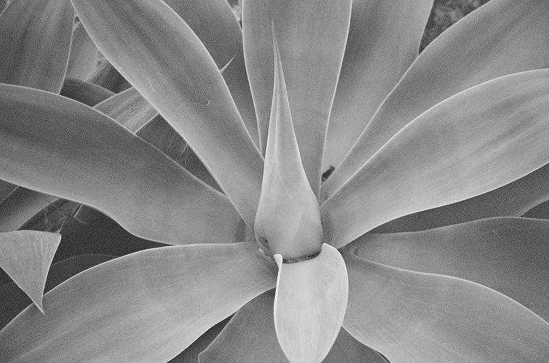 Ambient Abracadabra w/ Sofie Birch