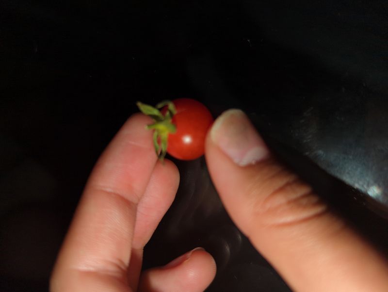 Basket of light w/ Liana Flores