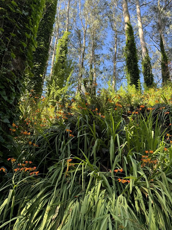 Modern shoegaze lovers w/ Carly and Erik++