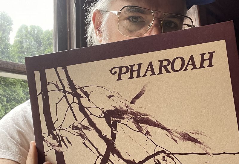 The Head Zone w/ Ripley Johnson