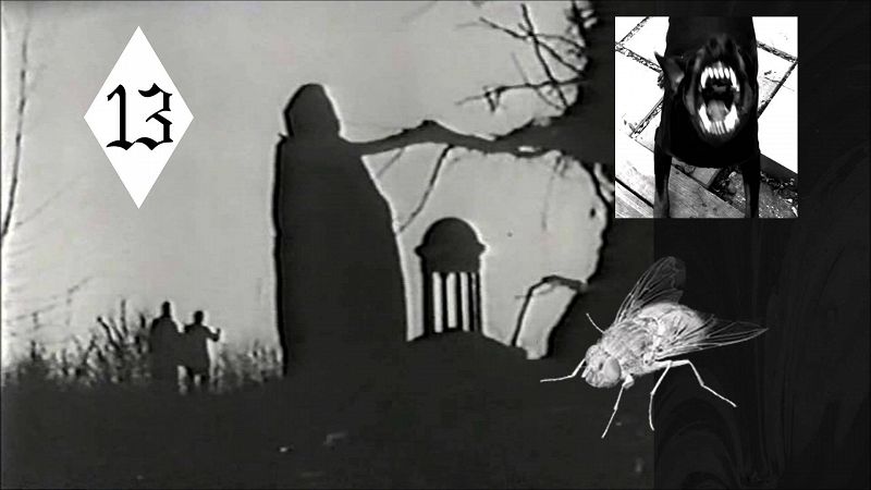 In Focus: Lil Ugly Mane