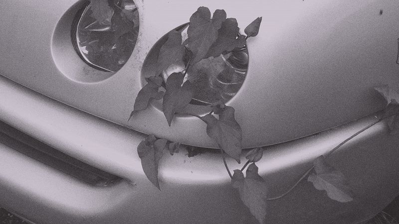 Life In The Ventriloquist's Castle W/ Pusjka