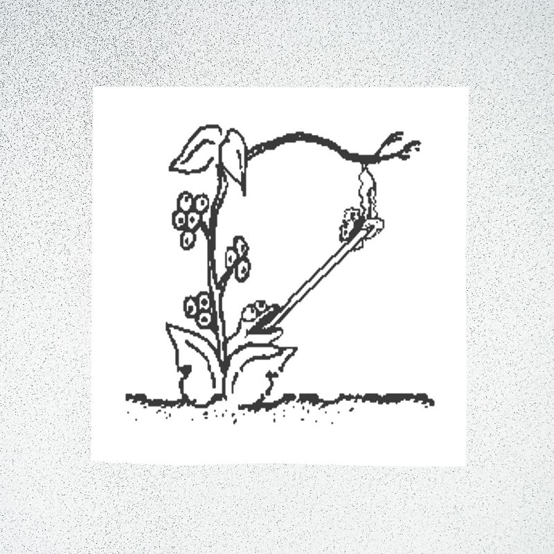 Pender Street Steppers