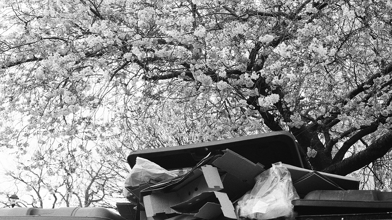 The Early Bird Show w/ PAM