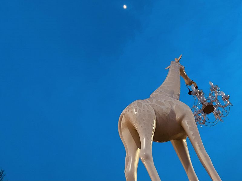 Soundbahn w/ Bednarski