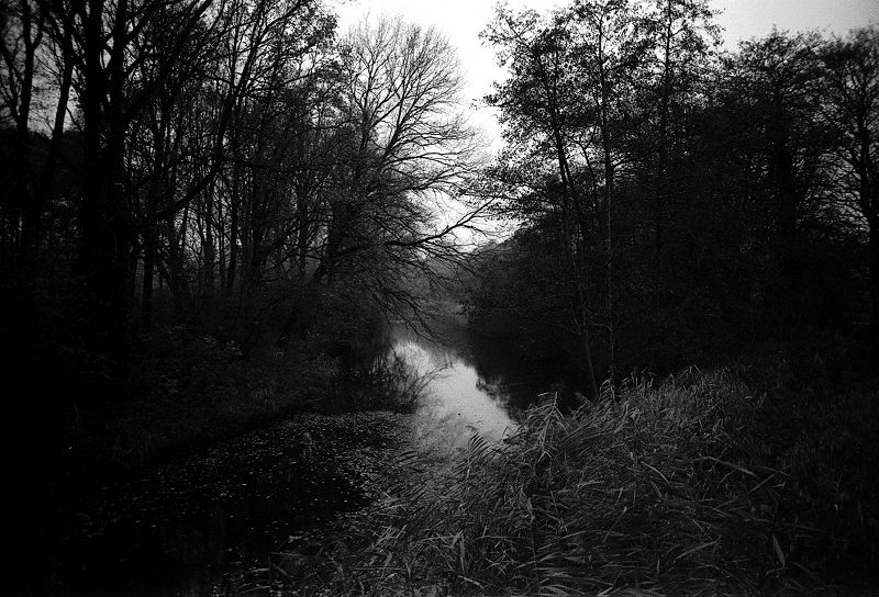 Self and Other: Missed of a Frozen Night