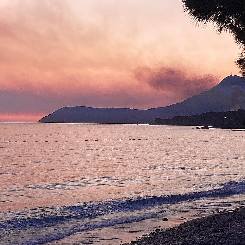 BALKAN GEMS W/ BACKYARD