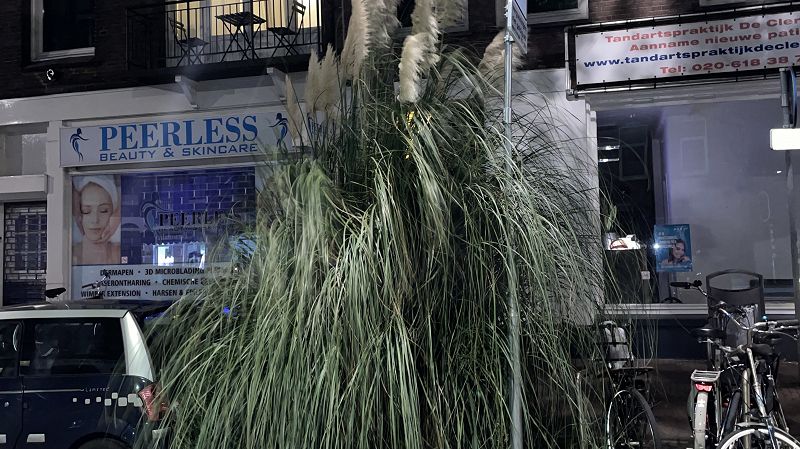 SUMMER STORMS CAN STRIKE SUDDENLY W/ UMA