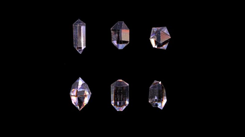 The Lunacy of Flowers w/ Dave ID