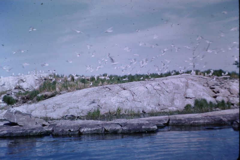 Phil's Jazz Dis-Junction