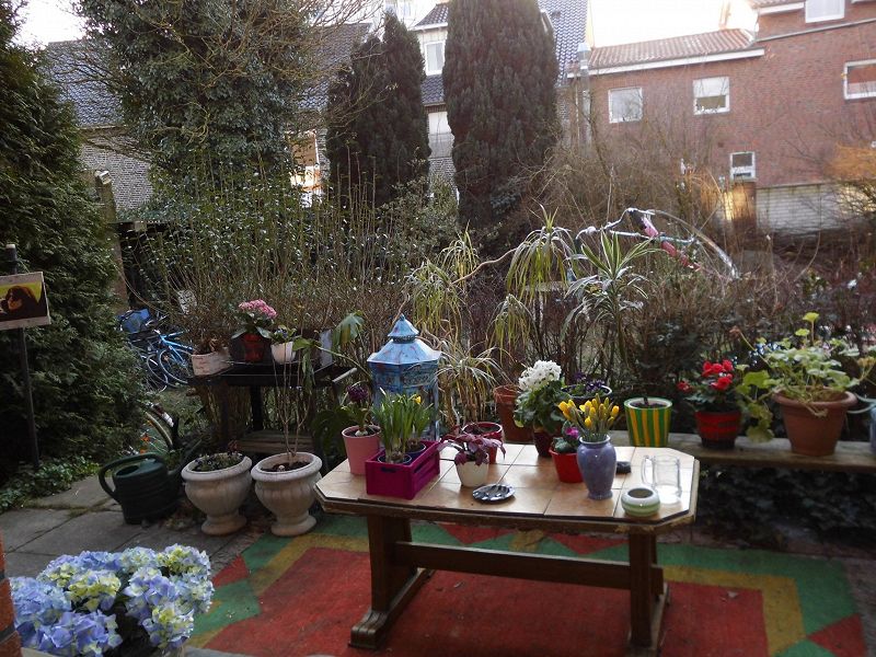 MIXED FEELINGS W/ INWAY