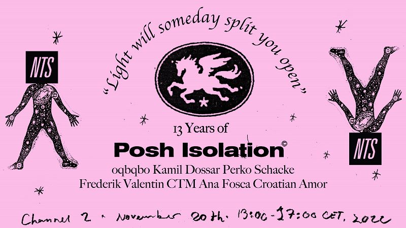13 Years of Posh Isolation w/ Ana Fosca