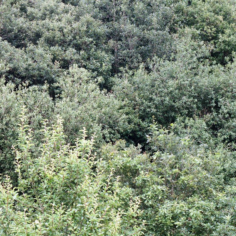 Tough Matter w/ Ashley Holmes