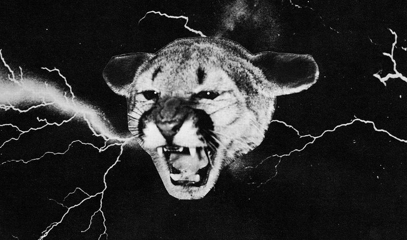 Machines of Loving Grace w/ Midwife