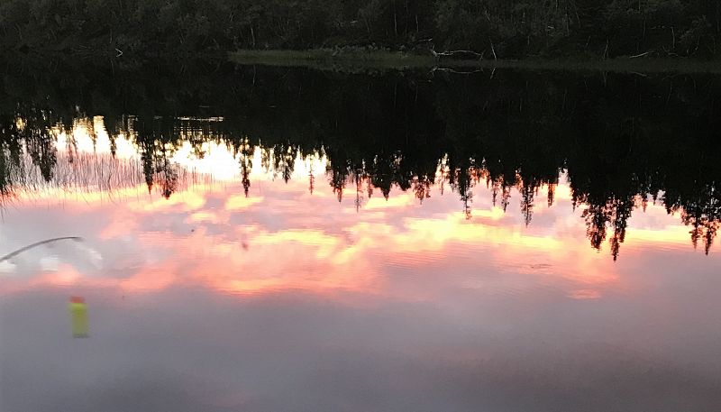 How Can You Mend A Broken Heart w/ Anki