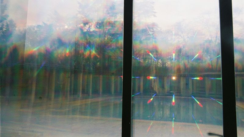 Distant Dreams w/ Max