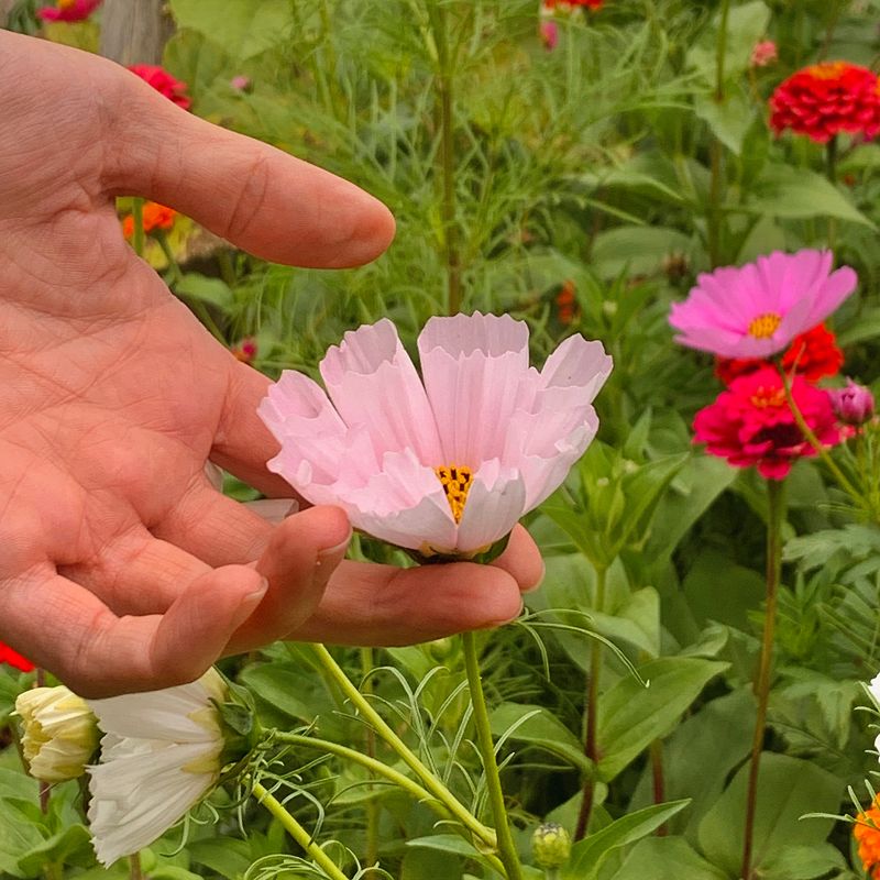 Untitled (17 songs) w/ Jeffrey Michael Eaton