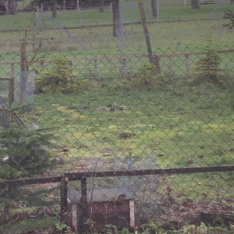 Feierabend w/ Skee Mask