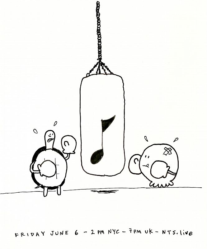 James McNew (YO LA TENGO)