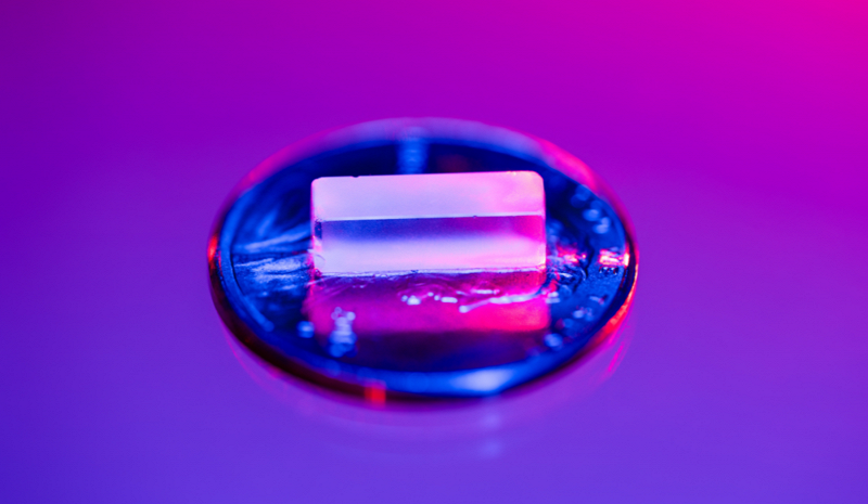 Circle Packing w/ Occo