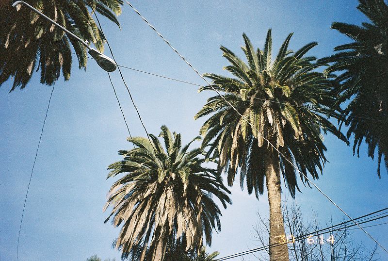 Good Times Last Forever w/ Benjamín