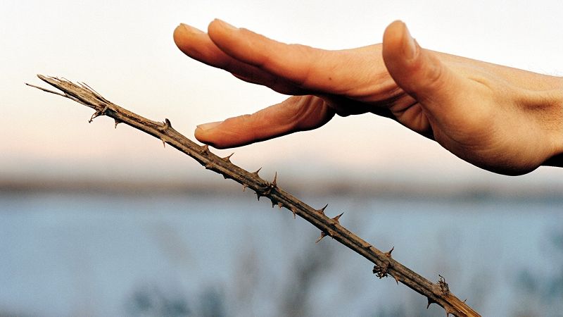 Lyra Pramuk presents: pop.soil