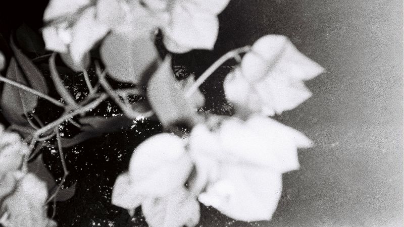 How sad, how lovely w/ Marija Reikalas