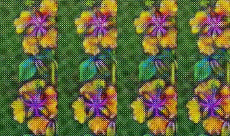 Aloha Got Soul Presents: Home Grown