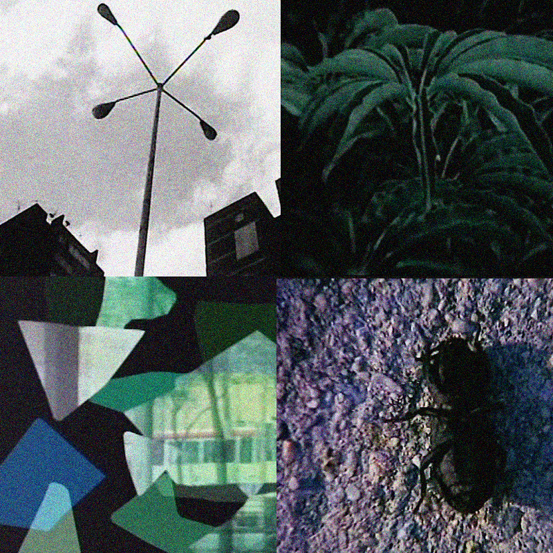 Skate Muzik: Sovereign Selections w/ Altered States Tapes