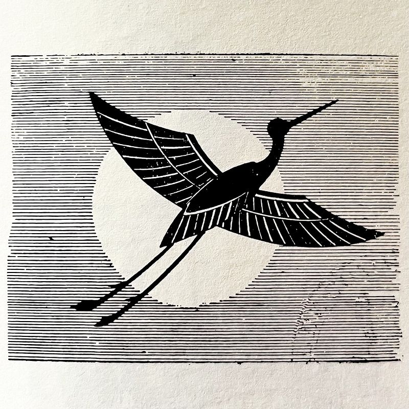 Insolar w/ Cami Layé Okún