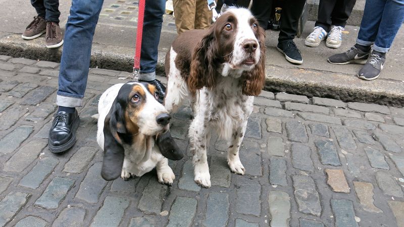 Morgan Buckley & Olmo Devin - Live From Dublin