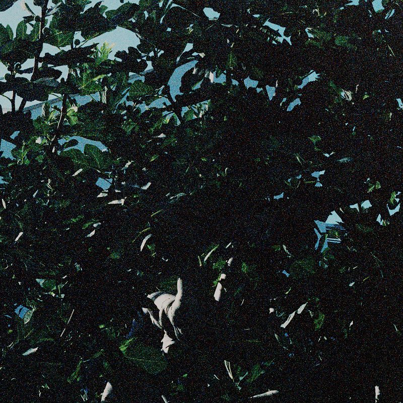 Tough Matter w/ Ashley Holmes