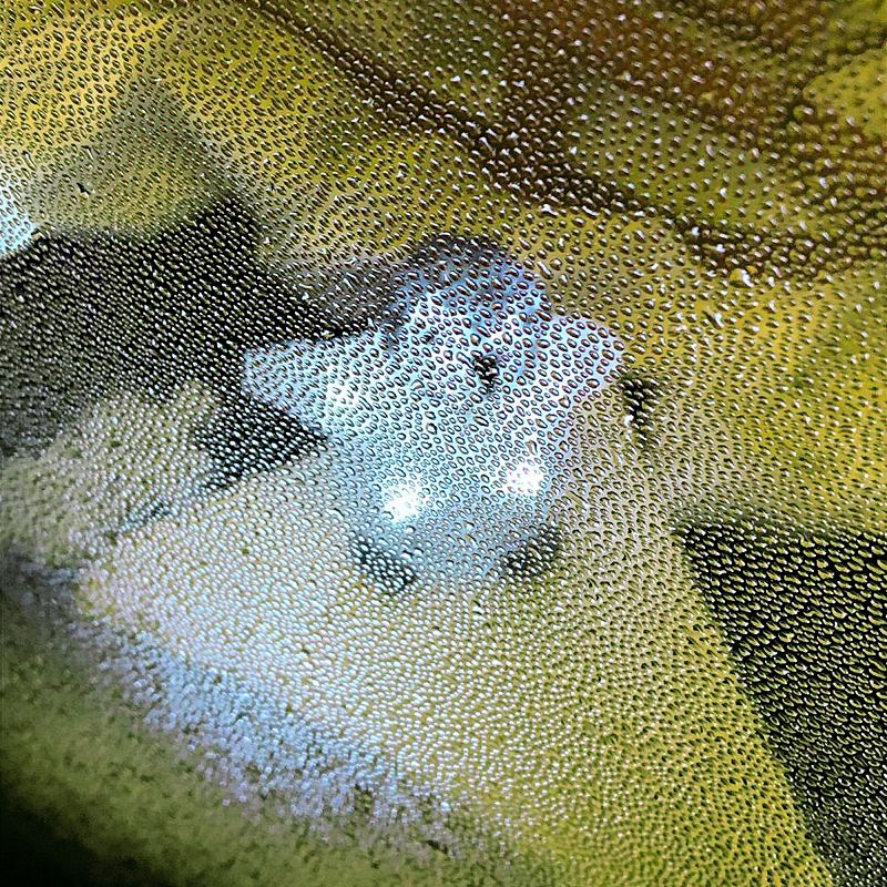 SPA w/ DJ Brom & Ada Luvv