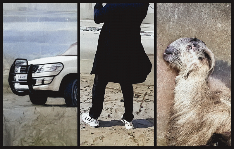 PALESTINIAN SOUND ARCHIVE w/ MEDS Recordings (cast lead iron swords Vegan dildos)