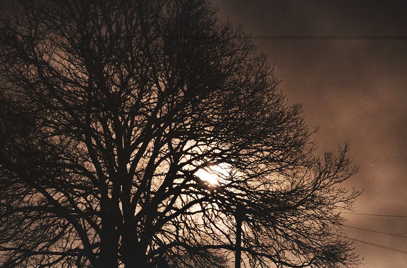 Phil's Jazz Dis-Junction