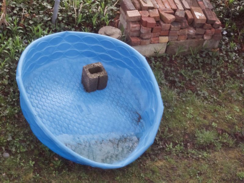 A Month of Sundays w/ Bill Spencer